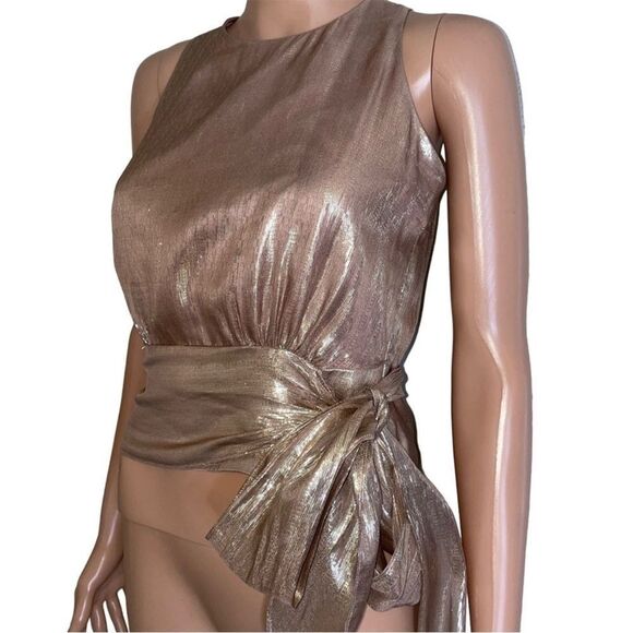 MILLY Women's Metallic Lurex Silk blend Chiffon Lauren Top pink waist tie SZ 6 - Picture 3 of 14